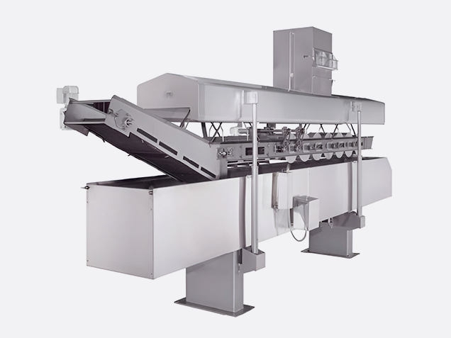 Continuous Fryer